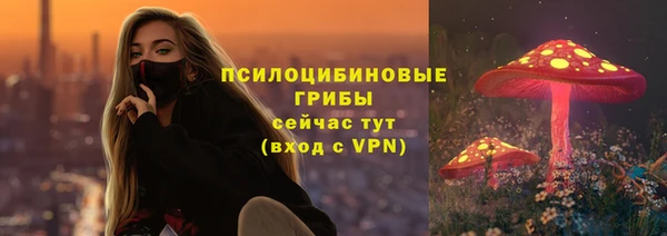 MESCALINE Аркадак