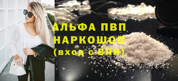 соль ск Новозыбков