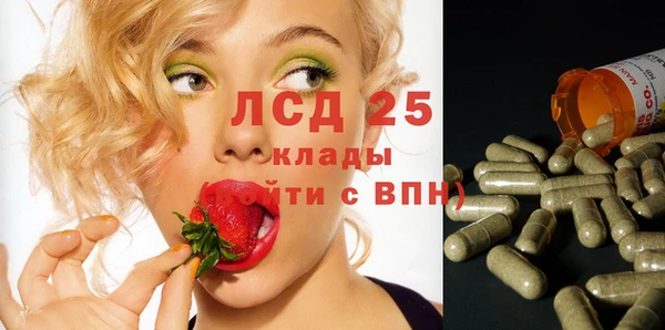 MESCALINE Аркадак